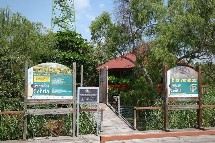 Pantanos de Centla Biosphere Reserve: Mexico's Wetland Haven | LAC Geo