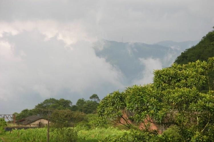 Mists of Paranapiacaba, Brazil