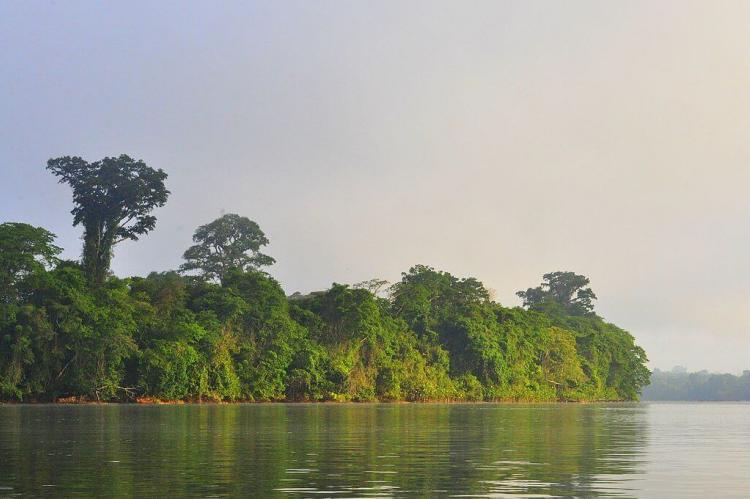 Maroni River, between Maripasoula and Talwuen in Guiana Amazonian Park, French Guiana