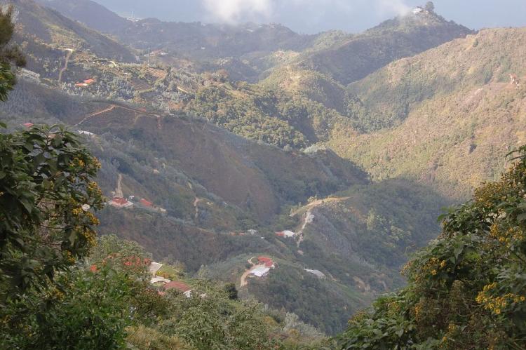 View over El Ávila National Park, Venezuela
