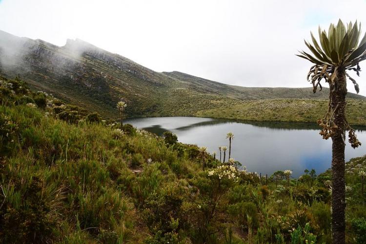 Lake in Chingaza National Natural Park, Colombia