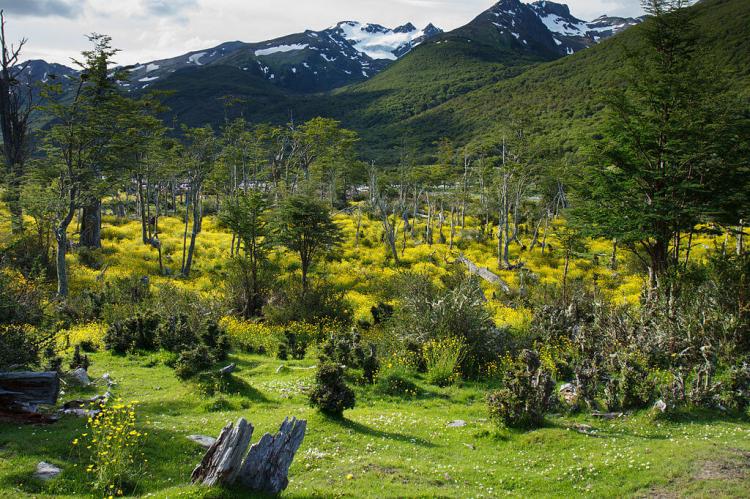 Paso de la Oveja (Sheep Pass), Tierra del Fuego National Park, Argentina