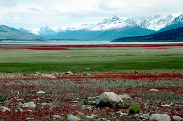Landscape at Perito Moreno National Park, Argentina