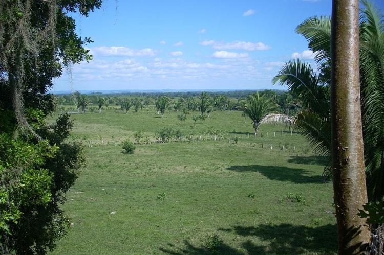 Petén wet savanna, La Blanca, Peten, Guatemala