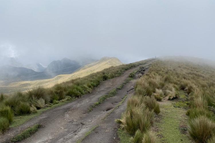 Al Sendero Ruco Pichincha Volcano at 4,160 meters (13,648 ft), Quito, Ecuador.