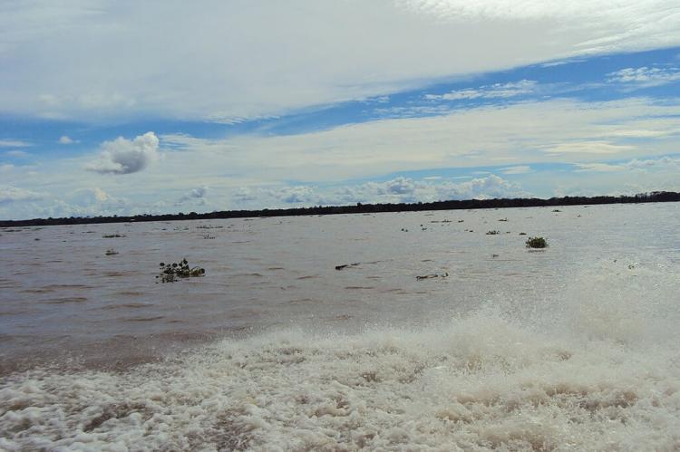 Purus River, Lábrea, State of Amazonas, Brazil