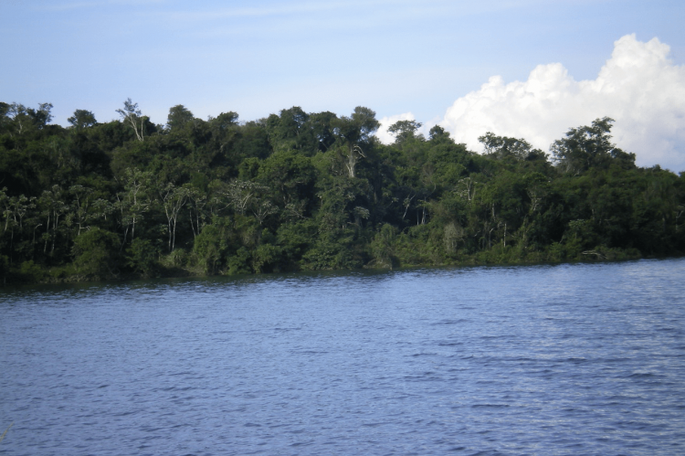 Itabo Biological Reserve (Paraguay)