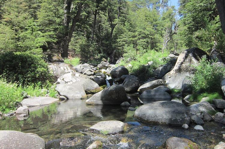 Tributary of the Claro River in Radal Siete Tazas National Park, Chile