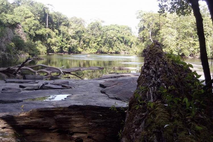 Rio Feliz landscape in the Tumucumaque Mountains National Park, Brazil