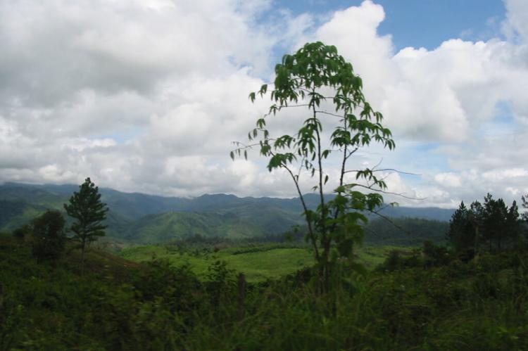 Río Plátano Biosphere Reserve (Honduras)
