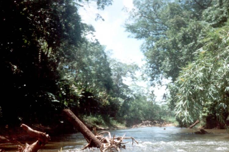 Río Plátano (Honduras)