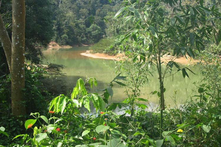 Pilón Lajas Biosphere Reserve: A Nexus of Nature & Culture | LAC Geo