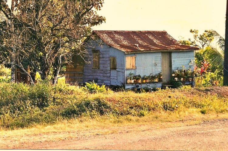 Blue House, on the road to San Ignacio, Belize