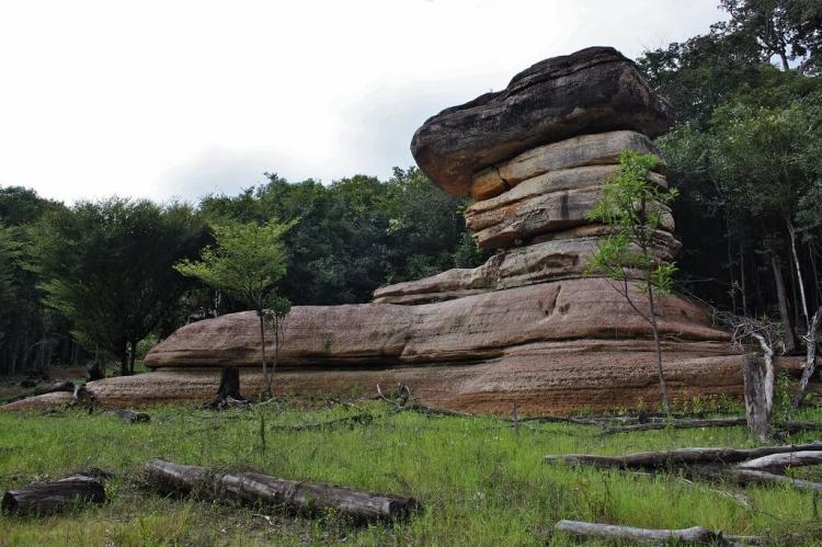 Rock formation, Anavilhanas archipelago, Novo Airão, Amazonas, Brazil