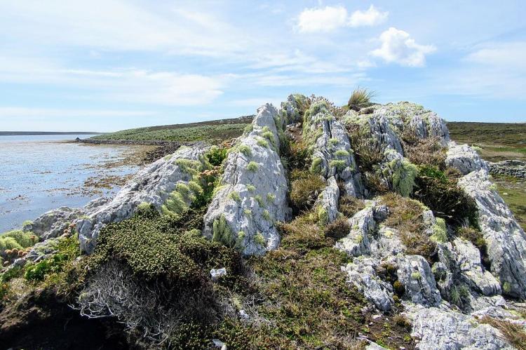 Rocks of Hadassa Bay, Falkland Islands
