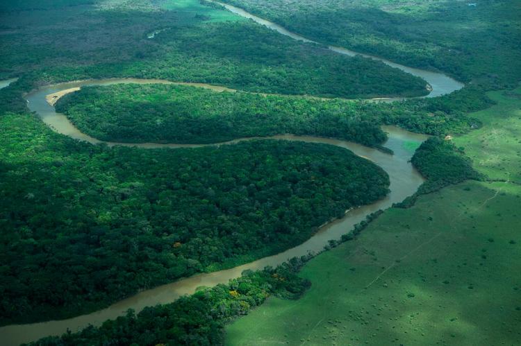 Aerial view of the Rupununi River, Guyana