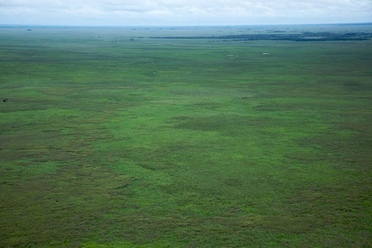 Aerial view of the plains of Beni or Beni Savannah, one of Bolivia's largest ecoregions