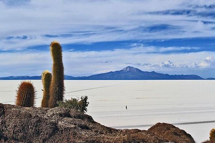 Isla del Pescado, Bolivia, Salar de Uyuni, Bolivia