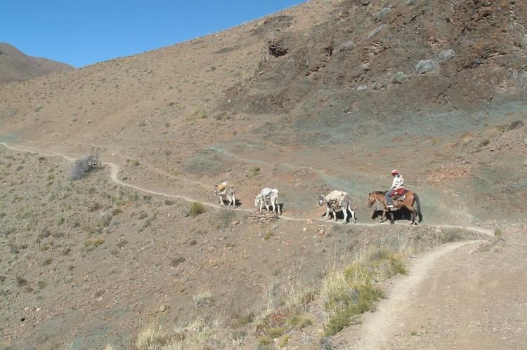 Inca Trail (Qhapaq Ñan) and terraces, Tarata - Ticaco