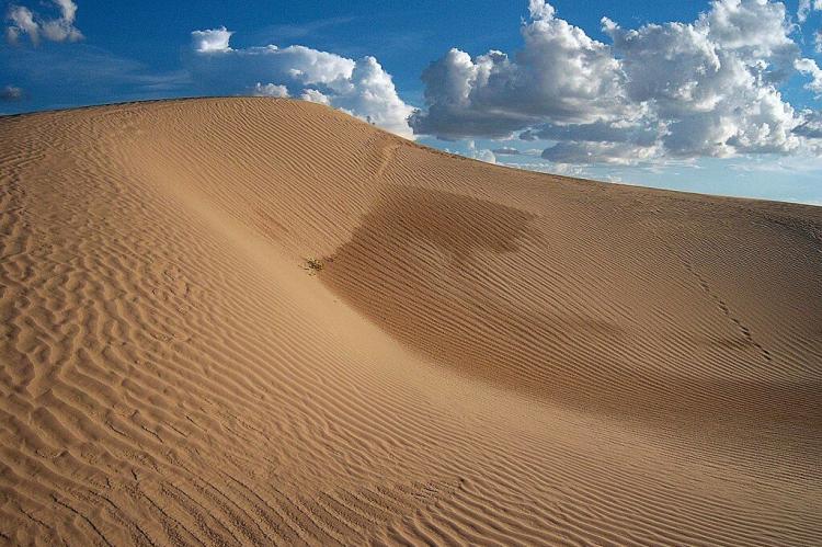 Dunes of Samalayuca, Chihuahuan Desert, Mexico