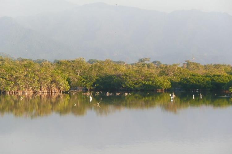 La Tovara Nature Reserve, San Blas, Nayarit, Mexico
