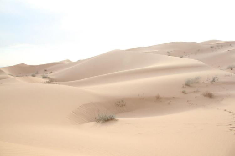 Sand dune, El Pinacate and Gran Desierto de Altar Biosphere Reserve, Mexico