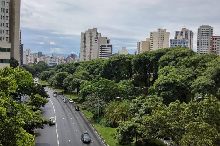 São Paulo City Green Belt