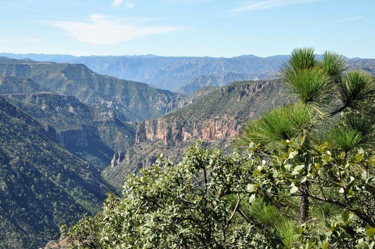 Sierra Madre Occidental, looking across Rio San Ignacio from near the village of Guajurana