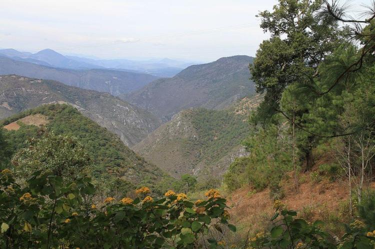 Sierra Madre Oriental, Mexico