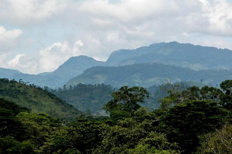 Sierra Nevada foothills, Honduras