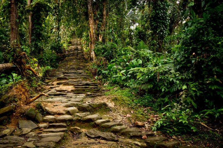 Section of the stone staircase that leads up from the river valley to Ciudad Perdida, Colombia
