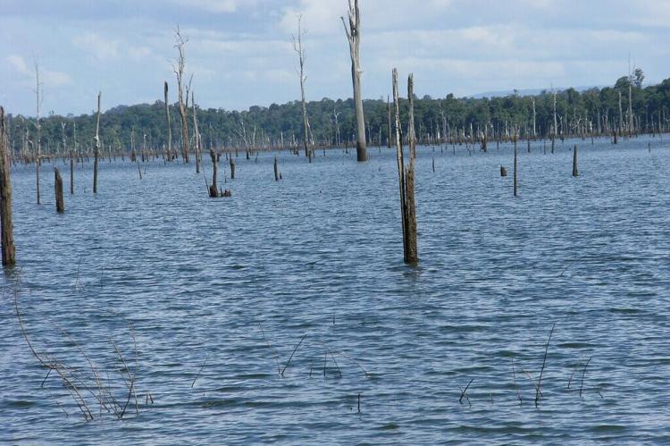 Brokopondo Reservoir, Suriname