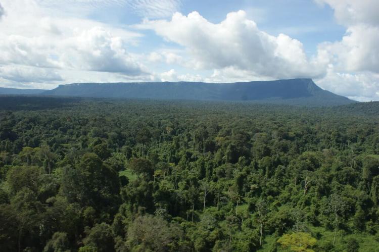 Suriname landscape
