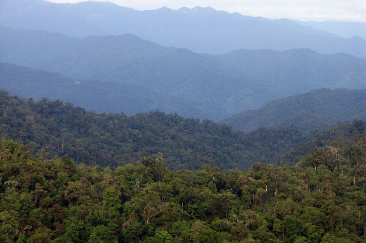 Talamanca Range-La Amistad Reserves, La Amistad National Park (Costa Rica, Panama)