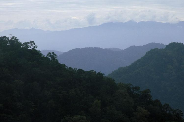Talamanca Range-La Amistad Reserves La Amistad National Park (Costa Rica Panama)