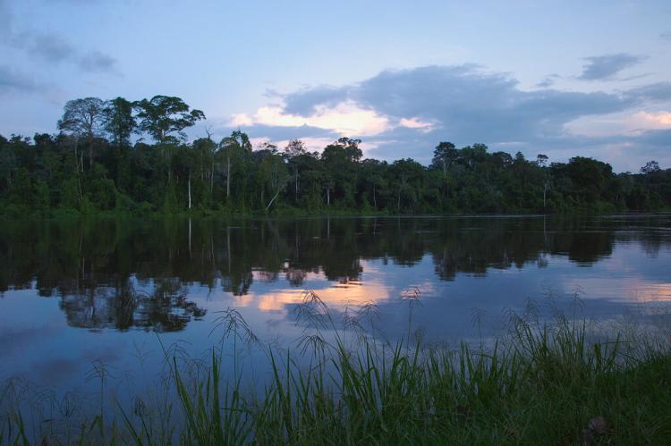 The Natural Landscape Of Suriname | LAC Geo