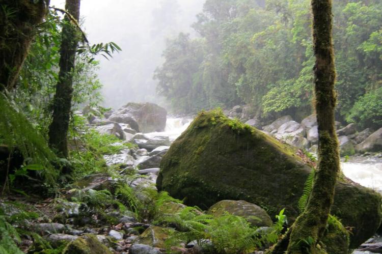 Tapanti National Park, Costa Rica