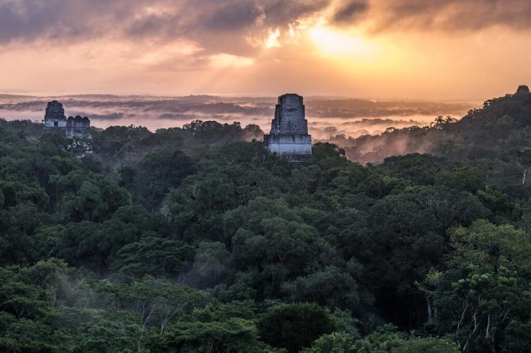Temples over Tikal National Park at sunrise, Guatemala