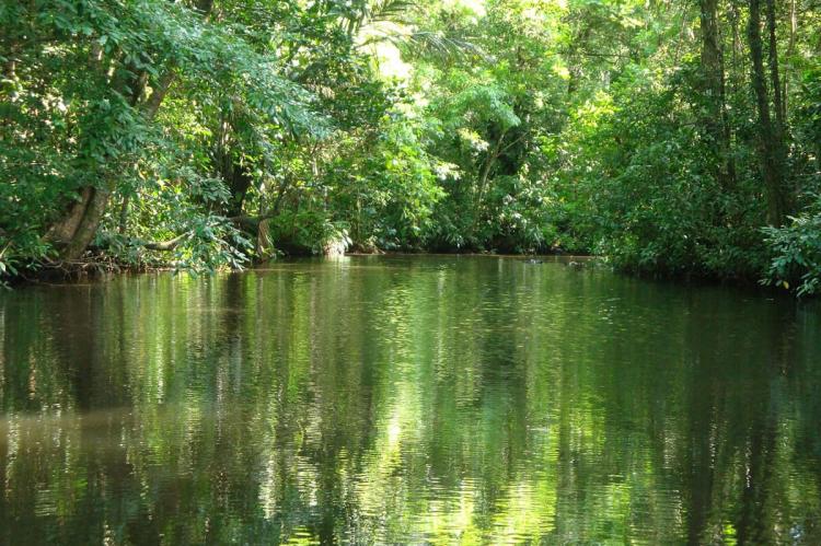 SINAC: Costa Rica's Blueprint for Conservation Success | LAC Geo