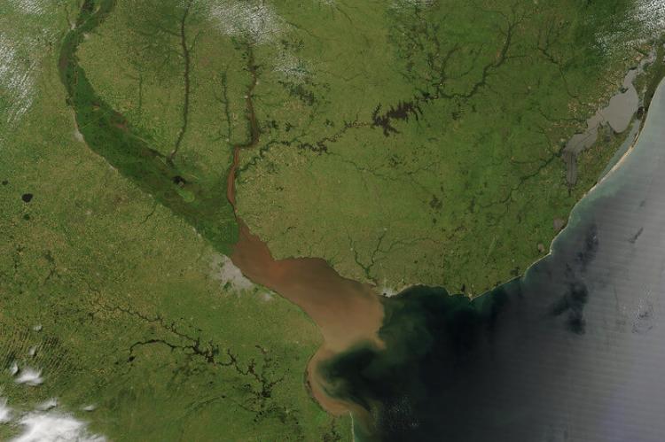The Parana River makes a wide, dark green swath running through eastern Argentina before joining with the Uruguay River along the western border of Uruguay and emptying into the Rio de la Plata Estuary.