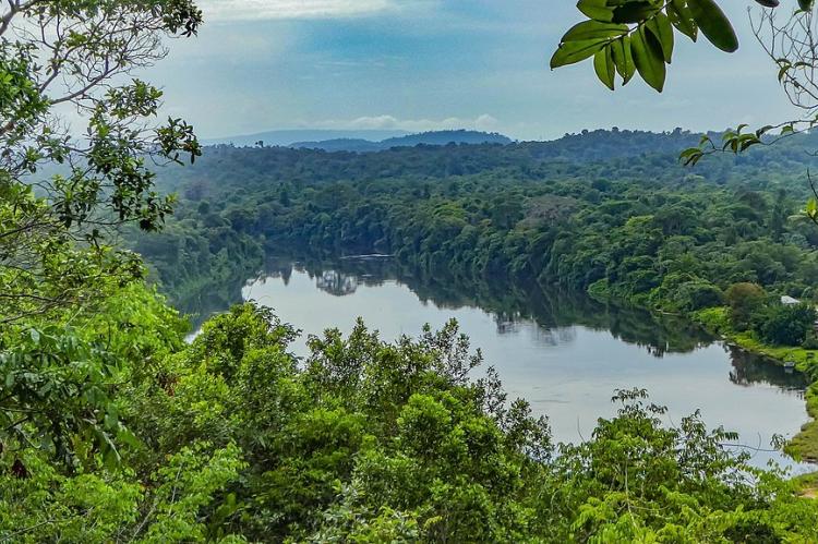 View of the Suriname river from the Blauwe Berg, or Blue Mountain, on the former Berg en Dal plantation, Suriname