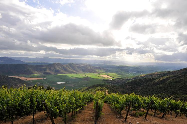Panorama of the Colchagua Valley in central Chile