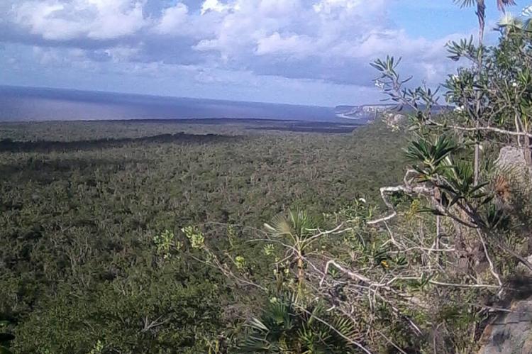View of Granma National Park, Cuba