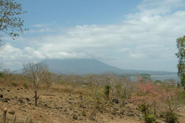 Rock field on Ometepe Island, Nicaragua