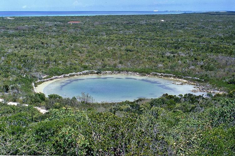 Watling's Blue Hole (karst), San Salvador Island, Bahamas. (photo by Mark Peter)