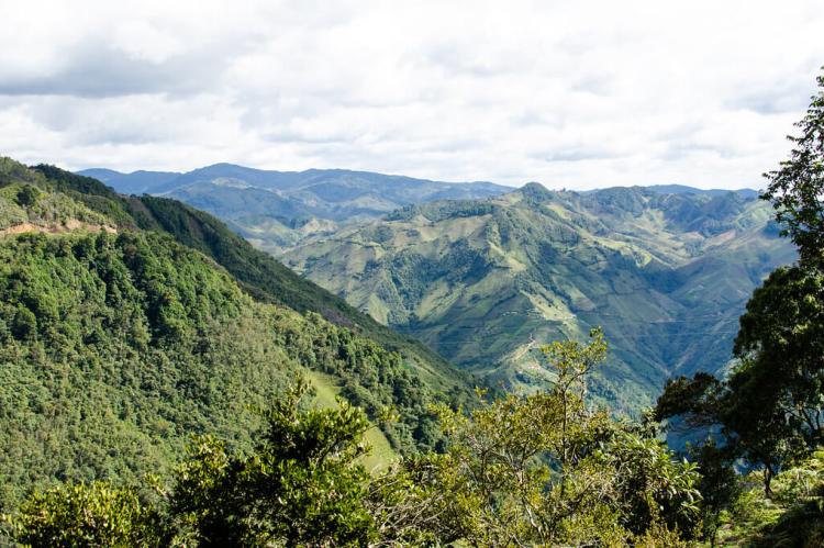 Western Cordillera, Colombian Andes