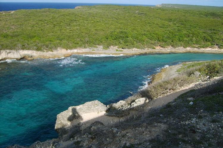 Dry scrub landscape, Grande-Terre Island, Guadeloupe