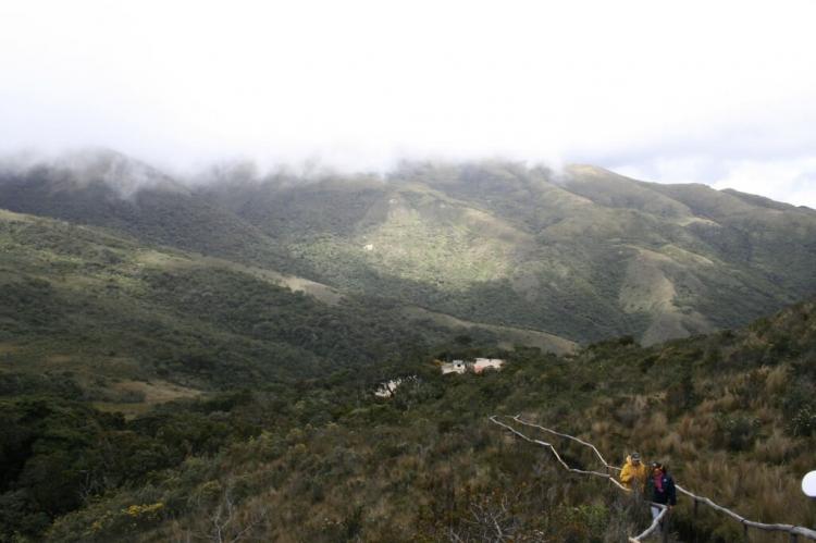 Climbing path, Yacurí National Park, Ecuador