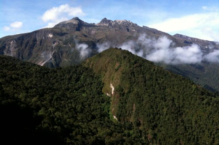 Yanacocha - in the shadow of Pichincha Volcano In Northwest Ecuador's cloud forest