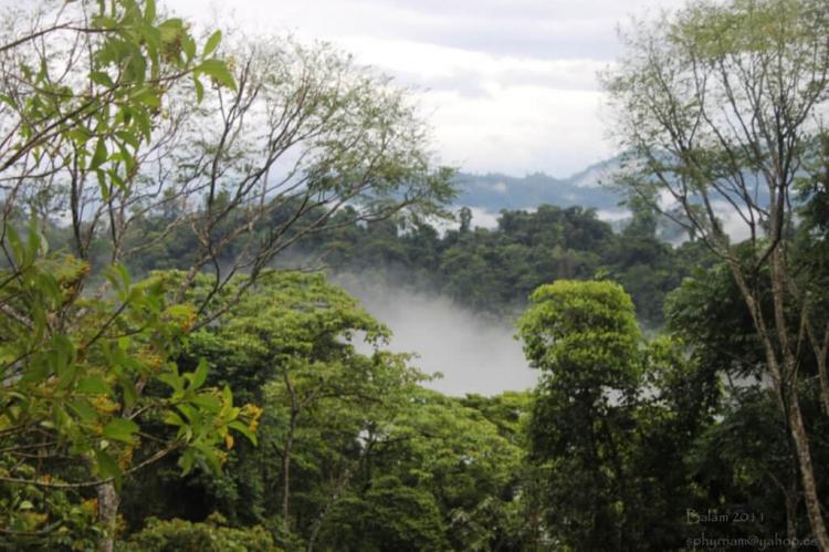 Río Plátano Biosphere Reserve, Honduras